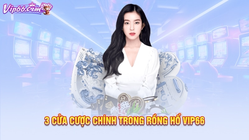 3 cửa cược chính trong rồng hổ Vip66