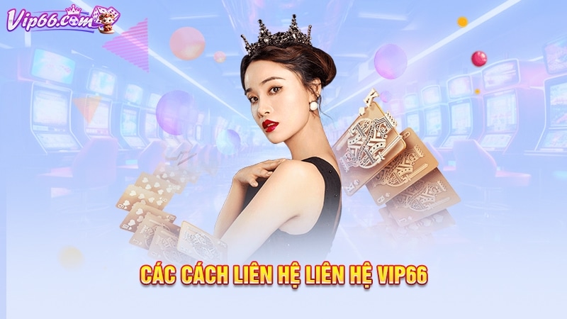 Các cách liên hệ liên hệ Vip66