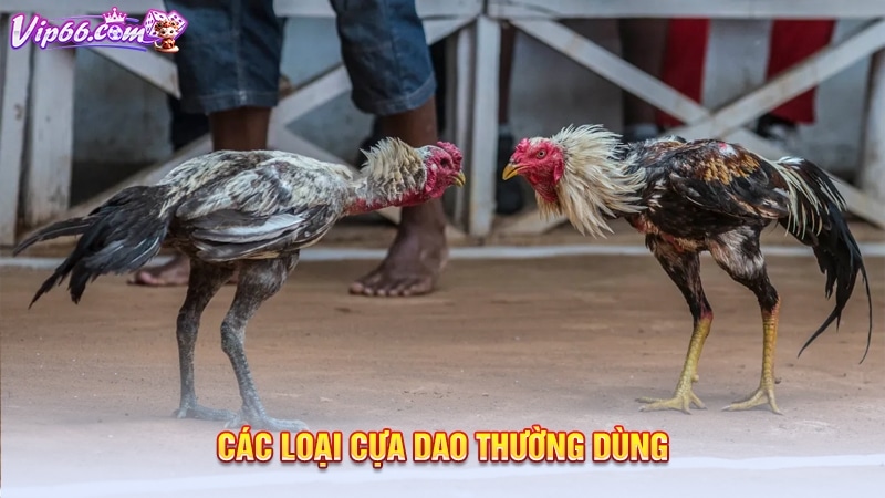 Các loại cựa dao thường dùng