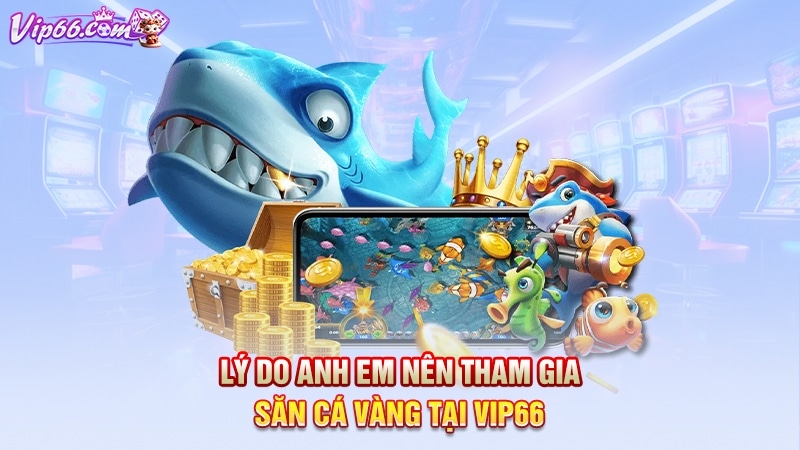 Lý do anh em nên tham gia săn cá vàng tại Vip66