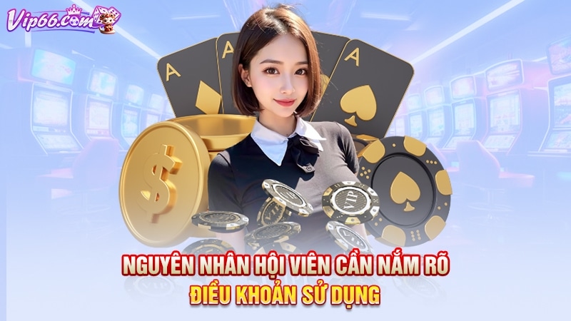 Nguyên nhân hội viên cần nắm rõ điều khoản sử dụng