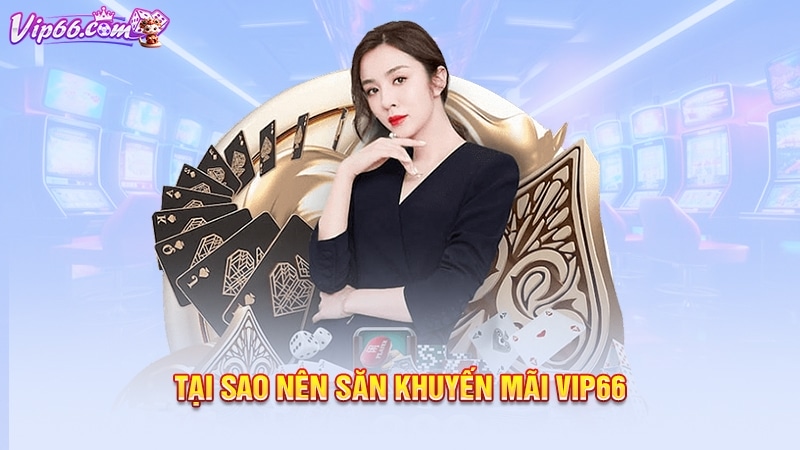 Tại sao nên săn khuyến mãi Vip66